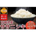 ふるさと納税 米 ササ