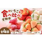 いちご 2027年1月~発送 4回定期便