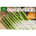 fu.... налог овощи вид спаржа Gifu префектура Mino .. город { предшествующий предварительный заказ } спаржа 800g (2L~L размер ) 2026 год 3 месяц сверху .-5 месяц сверху . отправка предположительно | Kobe ферма овощи...
