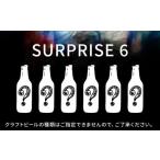 ふるさと納税 ビール 地ビール 神奈川県 横須賀市 クラフトビール おまかせ6本（3種×2本）セット SURPRISE 6 ビール お酒 さけ 瓶 瓶ビール びーる 麦酒 宅飲…
