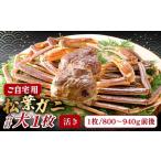 ふるさと納税 カニ 松葉ガニ 鳥取県 日吉津村  活き ご自宅用松葉ガニ　大　１枚 松葉ガニ 松葉がに 松葉蟹 まつばがに かに カニ 冷蔵 チルド ブランド ズワ…