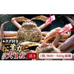 ふるさと納税 カニ 松葉ガニ 鳥取県 日吉津村  活き タグ付き松葉ガニ　大　１枚 松葉ガニ 松葉がに 松葉蟹 まつばがに かに カニ 冷蔵 チルド ブランド ズワ…