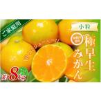 小粒みかん 約8kg