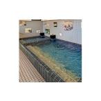 ふるさと納税 温泉・サウナ・スパ利用券 和歌山県 橋本市 高野口乃湯 入浴券 10 枚セット 1650229
