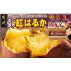 野菜類 サツマイモ 熟成芋 芋名人が認めるさつまいも