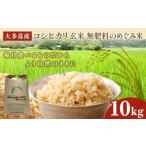 令和8年産 大多喜産コシヒカリ 玄米10kg