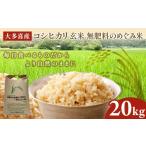 玄米 W04701 令和8年産 大多喜産コシヒカリ
