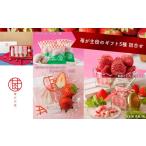 菓子 チョコレート 苺が主役の2種