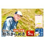 ふるさと納税 米 あき