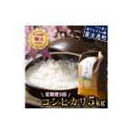 米 コシヒカリ 定期便 3ヶ月 信州 特A こしひかり 5kg