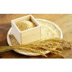 ふるさと納税 玄米 石川県 川北町  No.5528-0098 令和7年度米 川北町産コシヒカリ 5kg（玄米） お米 ライス ご飯 こしひかり ブランド米 銘柄米 お弁当 おにぎ…