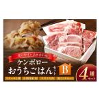 豚肉 セット おうちごはんセットB ステーキ2種 こま切れ スライス肉 豚ミンチセット