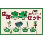 越谷アルファーズ 応援ネギセット 越谷 アルファーズ