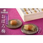 加工品等 梅干 白板昆布巻おぼろ梅 12粒