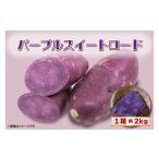 野菜類 サツマイモ 2026年度産 パープルスイートロード 約2…