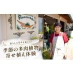 体験チケット 季節の多肉植物寄せ植え体験