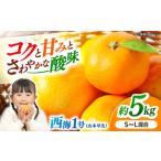 果物類 みかん 予定 西海1号 山本早生 約5kg