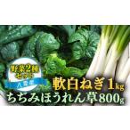 野菜類 ねぎ 八雲産 軟白ねぎ 1kg