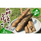 菓子 詰合せ 産泥付きやまといも ごぼう詰め合わせセット