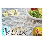ふるさと納税 フグ 長崎県 平戸市 ふぐ 刺身 セット 活〆 おうごんとらふぐ 刺身セット 4人前 松永水産 長崎県 平戸市 hr42bgy400157 ふぐ刺し とらふぐ フグ …