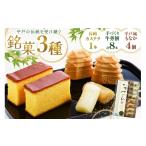 菓子 カステラ 最中 牛蒡餅 平戸のこだわり銘菓 3種