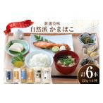 魚貝類 かまぼこ 長崎 平戸 6種