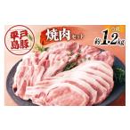 ロース 肩ロース 豚バラ 平戸島豚 焼肉セット 約1.2kg