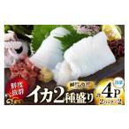 イカ 2種盛り 胴体+ エンペラ ゲソ 舘浦漁協