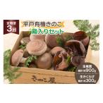 野菜類 きのこ しいたけ きくらげ 生椎茸 生きくらげ
