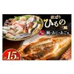 ふるさと納税 干物 アジ 長崎県 平戸市 干物 セット 欲ばり 平戸ひもの三昧 9種 詰め合わせ 篠崎海産物店 長崎県 平戸市 hr42bgy410069 ひもの 鯛 タイ あご …