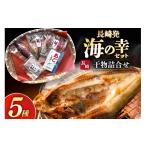 干物 アジ セット 欲ばり 平戸ひもの三昧 9種