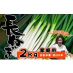 野菜類 ねぎ 極楽野 長ねぎ 2kg