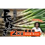 fu.... налог овощи вид лук порей Iwate префектура . камень блок Iwate префектура производство высшее приятный . земля имеется длина лук порей 2kg стандарт количество примерно 20шт.@ для бытового использования высота . сельское хозяйство .| длина лук-батун длина . лук порей лук-батун . белый лук порей белый лук-батун...