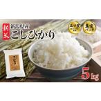 ふるさと納税 米 コシ