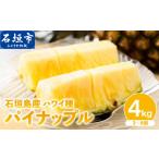 果物類 南風香 サンドルチェ 3玉