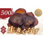 fu.... налог овощи вид .. . Gunma префектура шар . блок Gunma префектура производство сырой иудино ухо (.. Chan иудино ухо ) 500g без добавок нет пестициды местного производства 