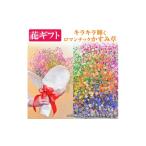 花 苗木 花束 ふわふわブーケ 生花 ロマンチックかすみ草