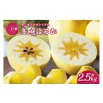 りんご 二戸産 カシオペア プレミアム冬恋はるか 約2.5kg