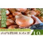 野菜類 玉ねぎ 2026年発送 山内農園の無選別たまねぎ 10kg