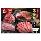 牛肉 6回定期便 最高級A4.5ランク常陸牛