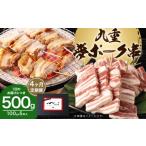 豚肉 バラ 4ヶ月定期便 九重夢ポーク串 約500g