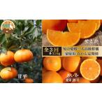 ふるさと納税 果物類 みかん 愛媛県 松山市  2025年12月上旬から発送 定期便 全3回 旬の愛媛三大高級柑橘 家庭用 愛果28号 せとか 甘平 約2.5kg | 柑橘 みかん…