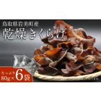 野菜類 きのこ 乾燥きくらげ 80g
