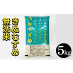 ショッピングふるさと納税 無洗米 ふるさと納税 無洗米 京都府 亀岡市 京都亀岡市産 無洗米 きぬむすめ 精米 5kg 1袋 株式会社ナカノ 白米 米 お米 こめ コメ ライス ご飯 ごはん ふっくら つや…