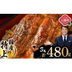 ふるさと納税 うなぎ 佐賀県 上峰町 《2026年4月発送》『国産』うなぎ蒲焼 3尾 計480g 4月発送