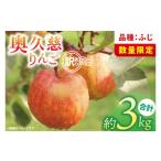 ショッピングふるさと納税 訳あり 傷 ふるさと納税 りんご 茨城県 大子町  訳あり 11月より順次発送予定 三村観光りんご園の奥久慈りんご「ふじ」約3kg｜不揃い 規格外 傷あり 色むら 家庭用 茨城…