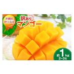 ショッピングふるさと納税 マンゴー ふるさと納税 マンゴー 沖縄県 伊江村  期間限定発送 訳あり マンゴー アーウィン種 2026年 約 1kg (2〜3玉) マンゴー部会 沖縄県 伊江村 ie47bde320006 沖縄 …