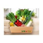 fu.... налог комплект *... Shizuoka префектура . Цу город a10-1232jimobeji овощи комплект 