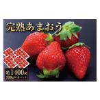完熟 あまおう イチゴ 350g×4パック