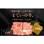 牛肉 サーロイン 約300g